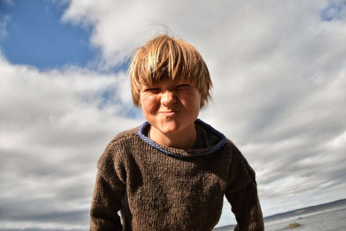 Everyday Wool Sweater