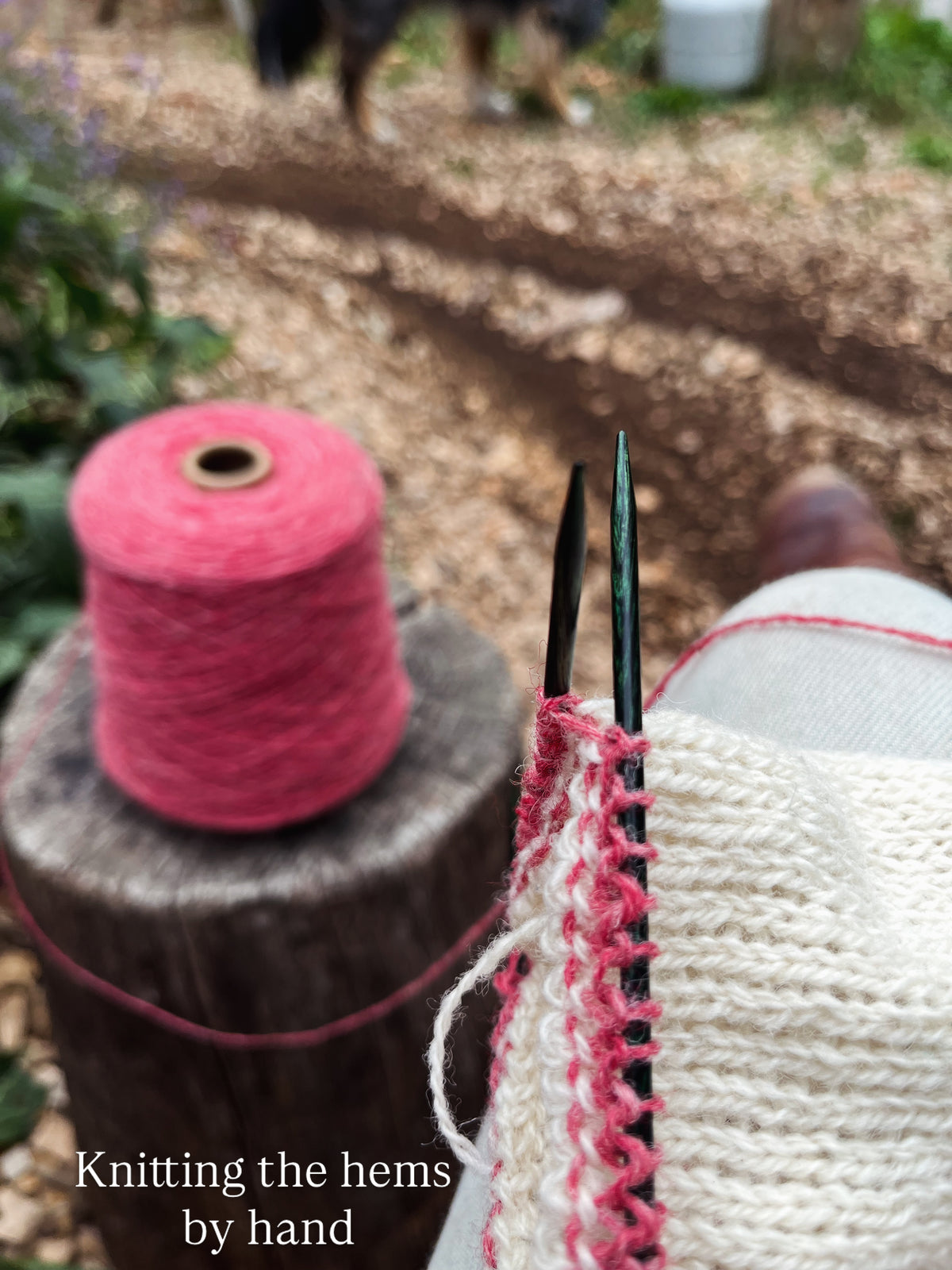 Everyday Wool Sweater
